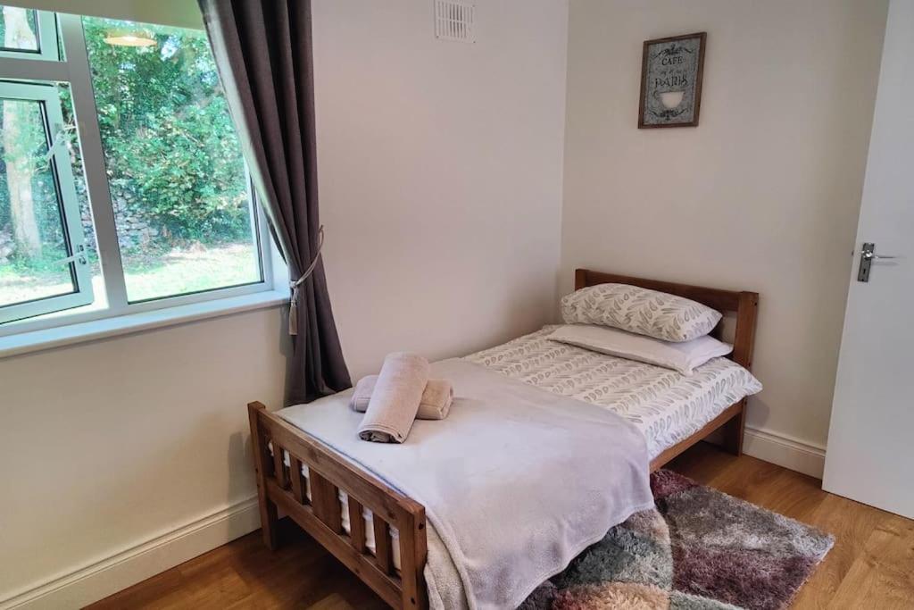 Sweethaven Chalet Killarone Экстерьер фото